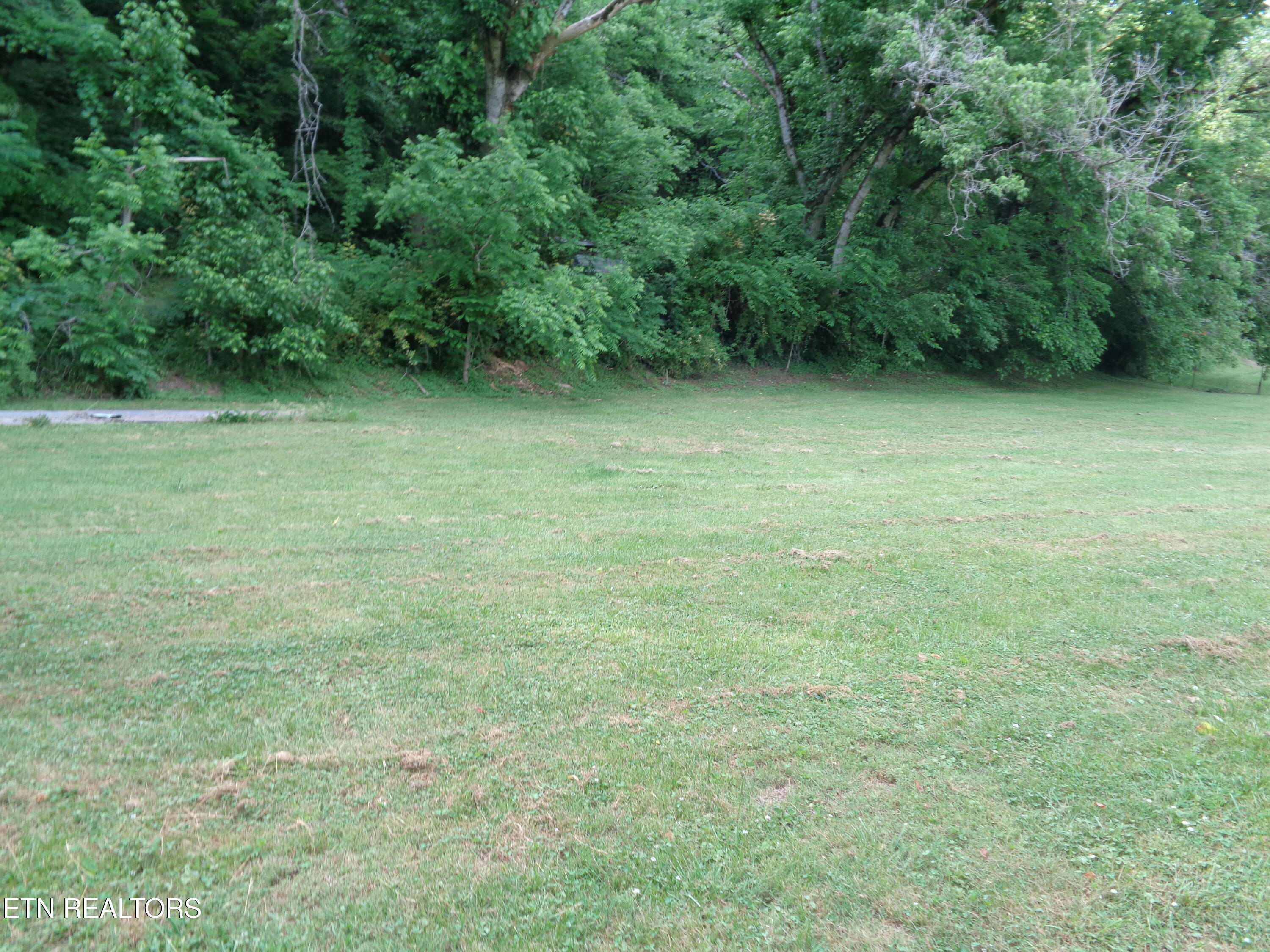 0 Kyles Ford Road Kyles Ford, TN 37765 - Photo 16 of 18 DSC01102