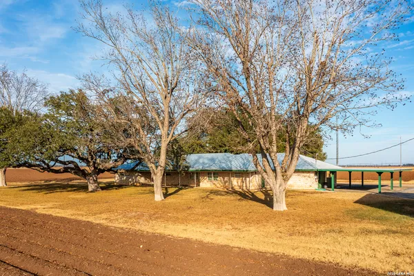 a view of city with tall trees