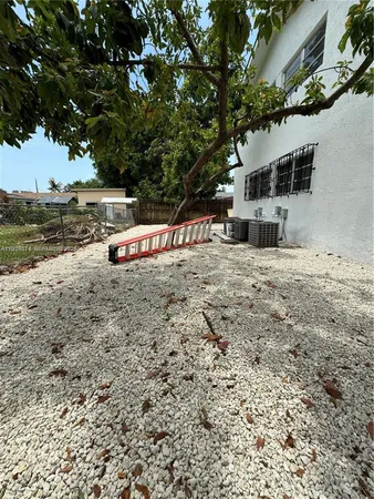 a view of a dry yard with large tree