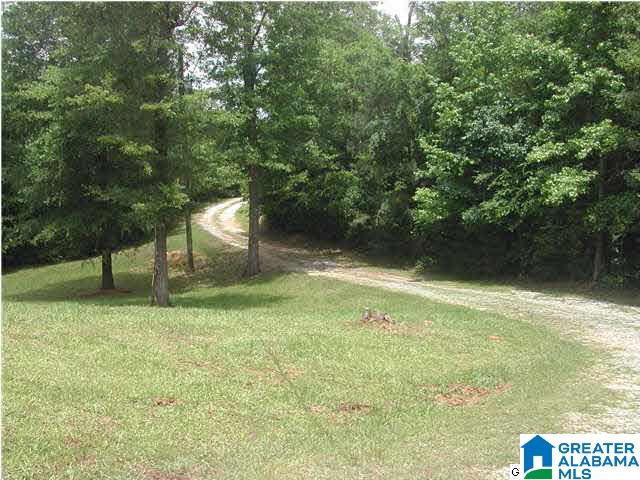1115 Marvel Road Brierfield, AL 35035 - Photo 4 of 7