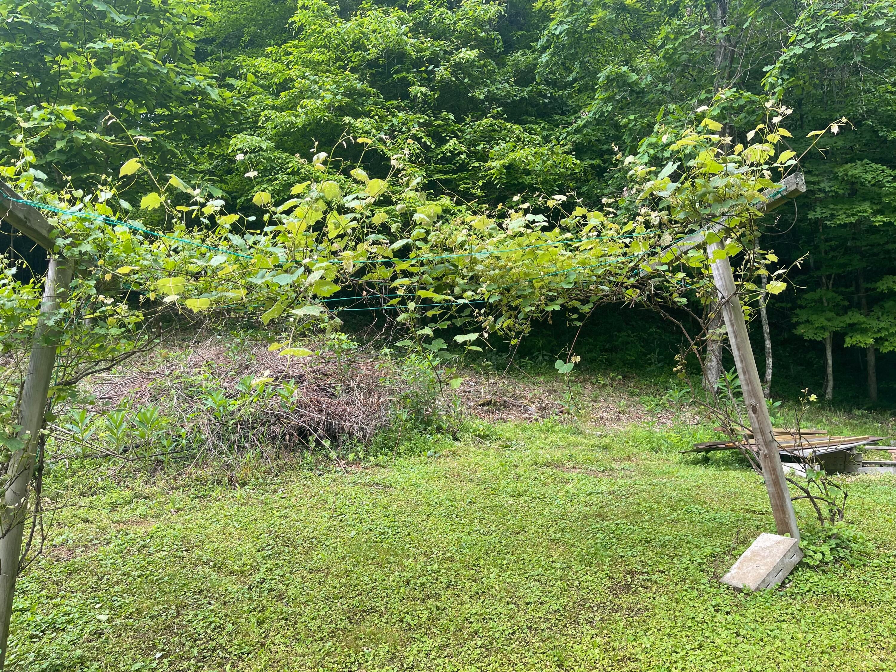 3593 Moore Frk Road Duck, WV 25063 - Photo 28 of 36 Gallery Image 28