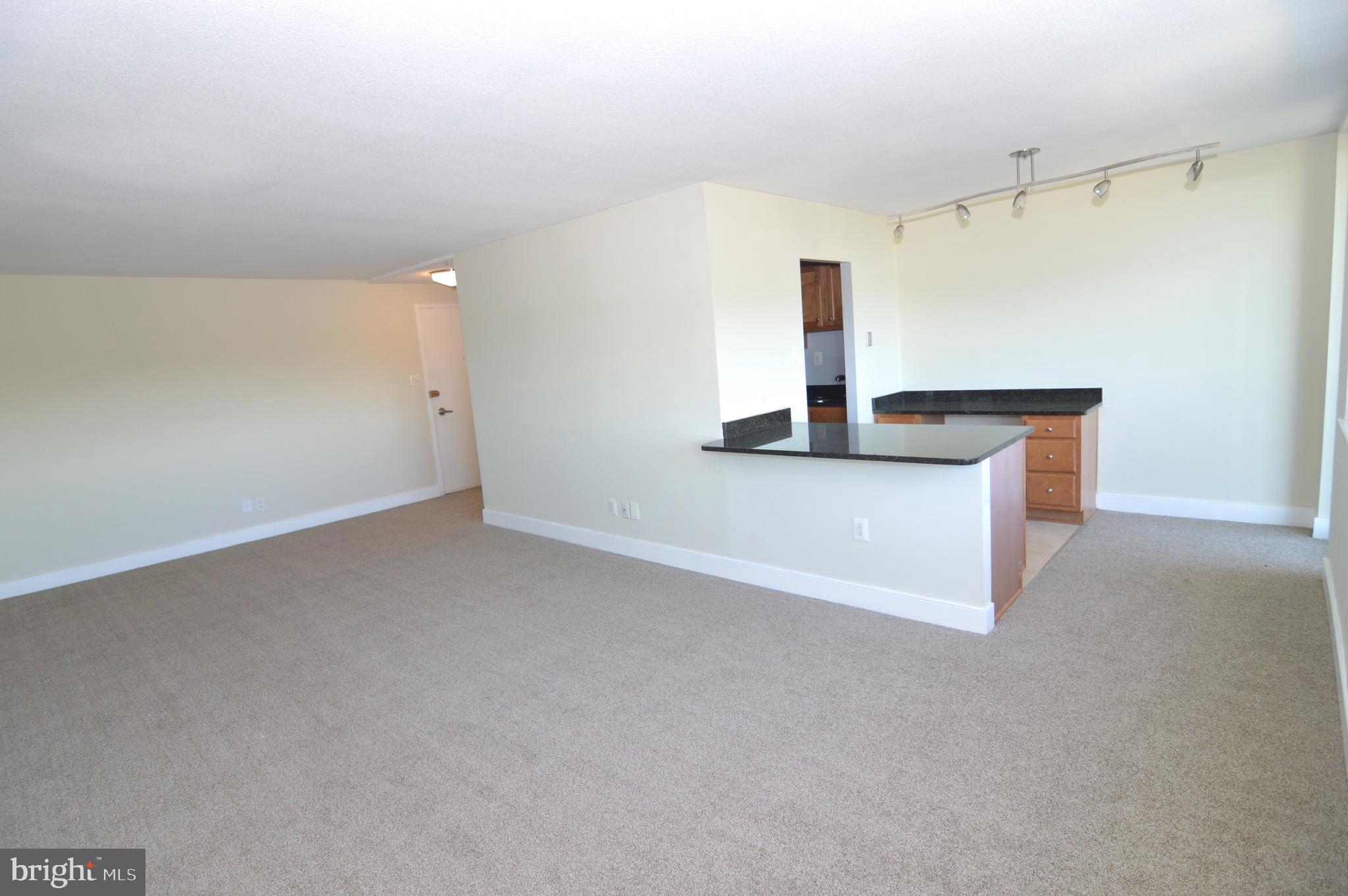 1220 Blair Mill Road, Unit 1007 Silver Spring, MD 20910 - Photo 3 of 24