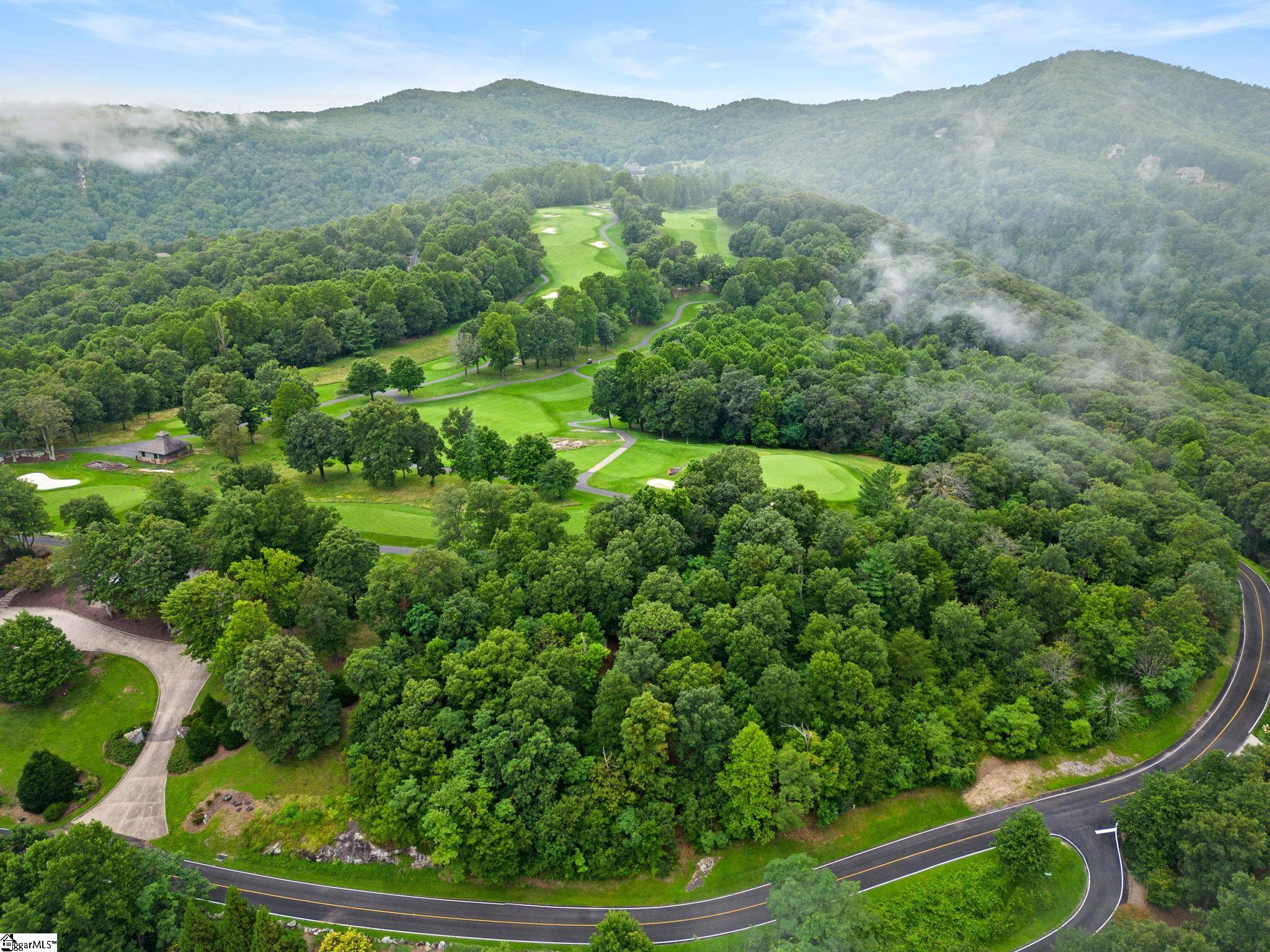 223 May Apple Way Landrum, SC 29356 - Photo 8 of 16