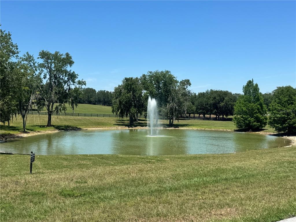 11145 Northwest 17th Court Road Ocala, FL 34475 - Photo 54 of 59 a view of swimming pool with a yard