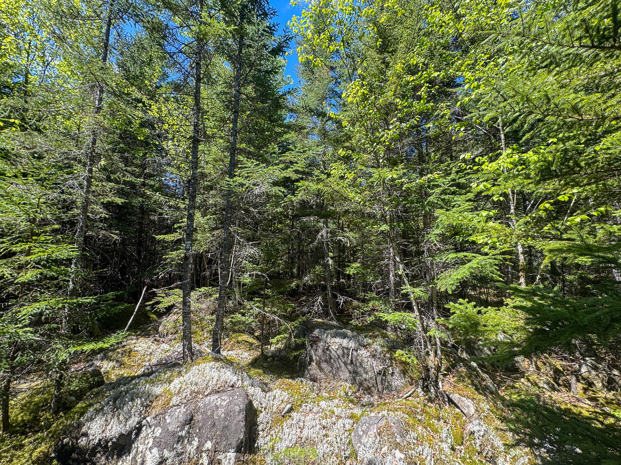 Lot 10 Morrison Brook, Unit ACRES Oakfield, ME 04763 - Photo 10 of 11