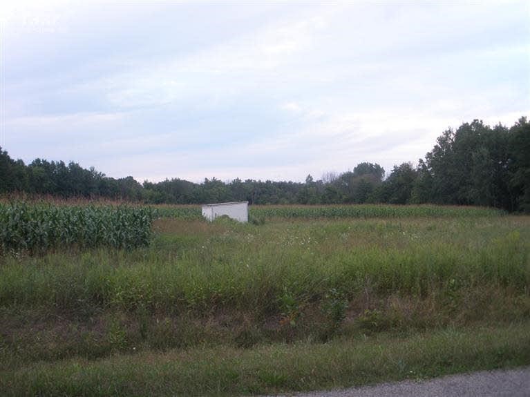 0 Colvin St. Charles, MI 48655 - Photo 2 of 13 20293711-1.JPG