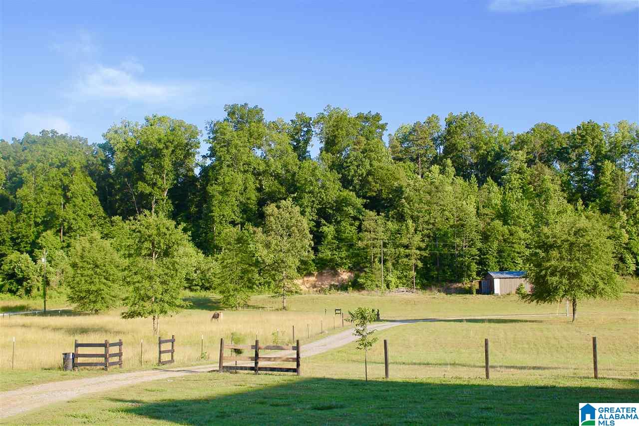 153 Ranch Road Jacksonville, AL 36265 - Photo 19 of 28