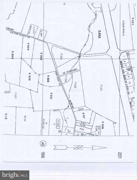 Lot 1 Walston Switch Road Parsonsburg, MD 21849 - Photo 3 of 3 Gallery Image 3