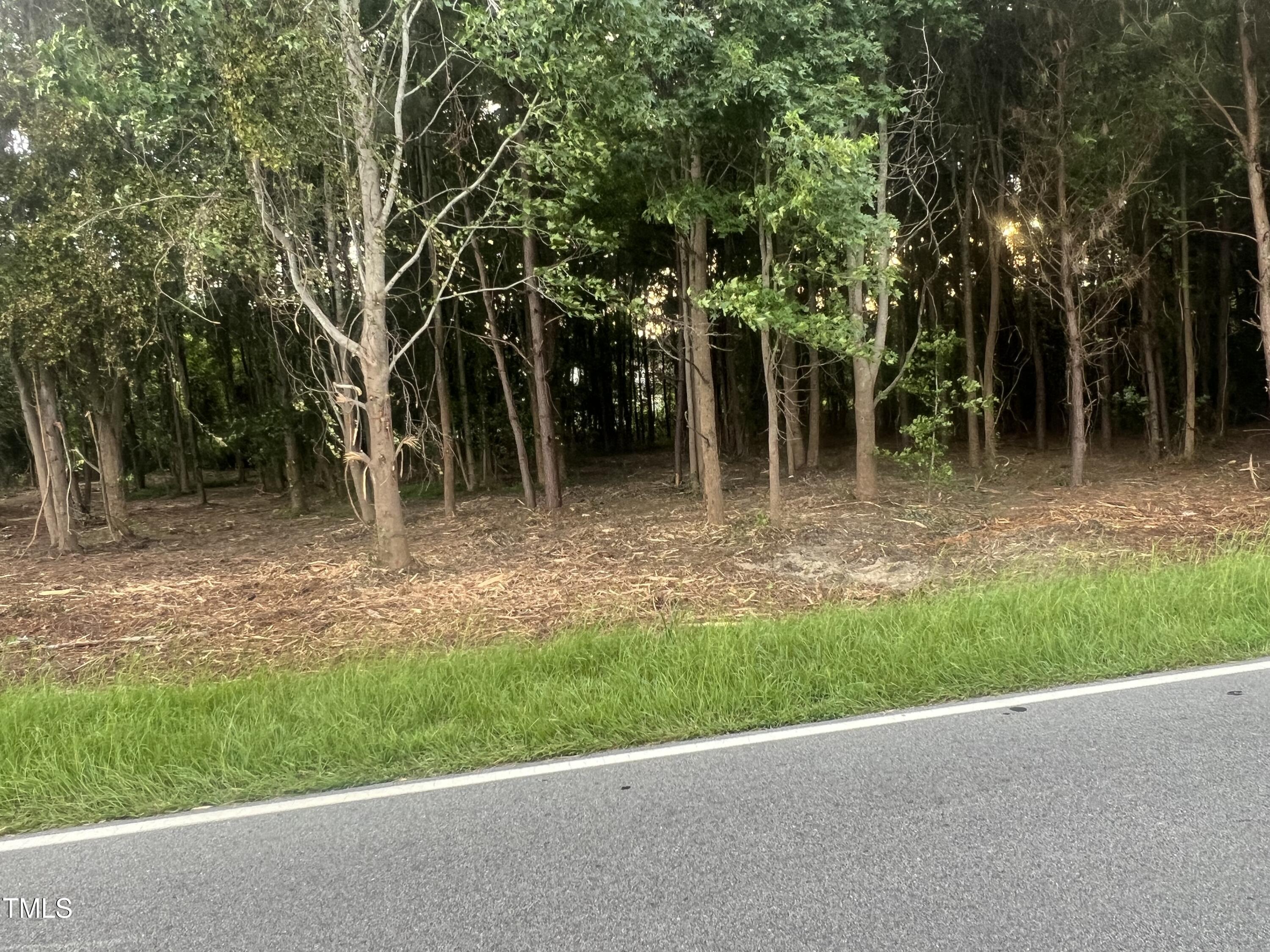 175 White Memorial Road Angier, NC 27501 - Photo 11 of 12 a backyard of a house with lots of green space
