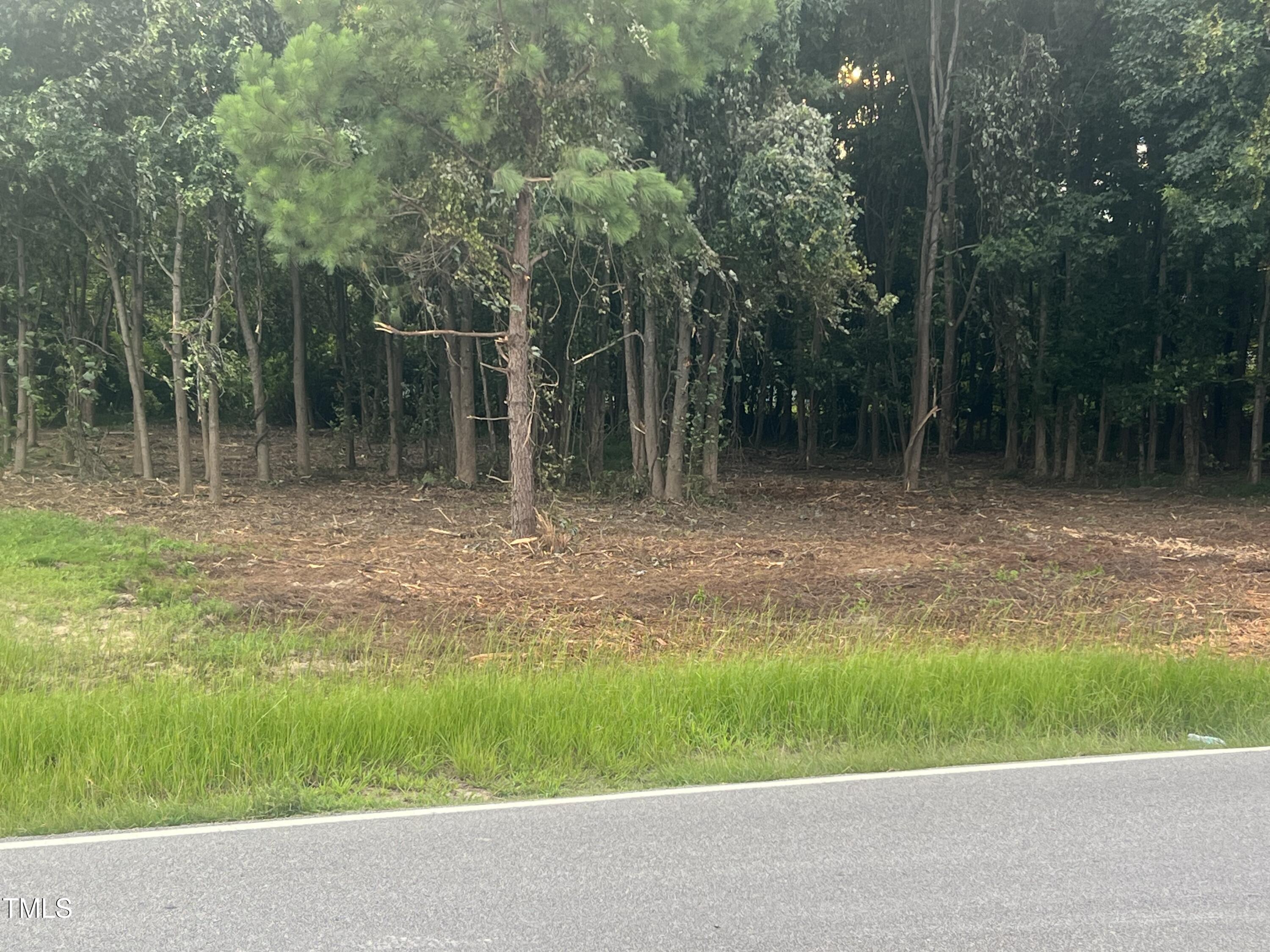 175 White Memorial Road Angier, NC 27501 - Photo 5 of 12 a backyard of a house with lots of green space and fountain