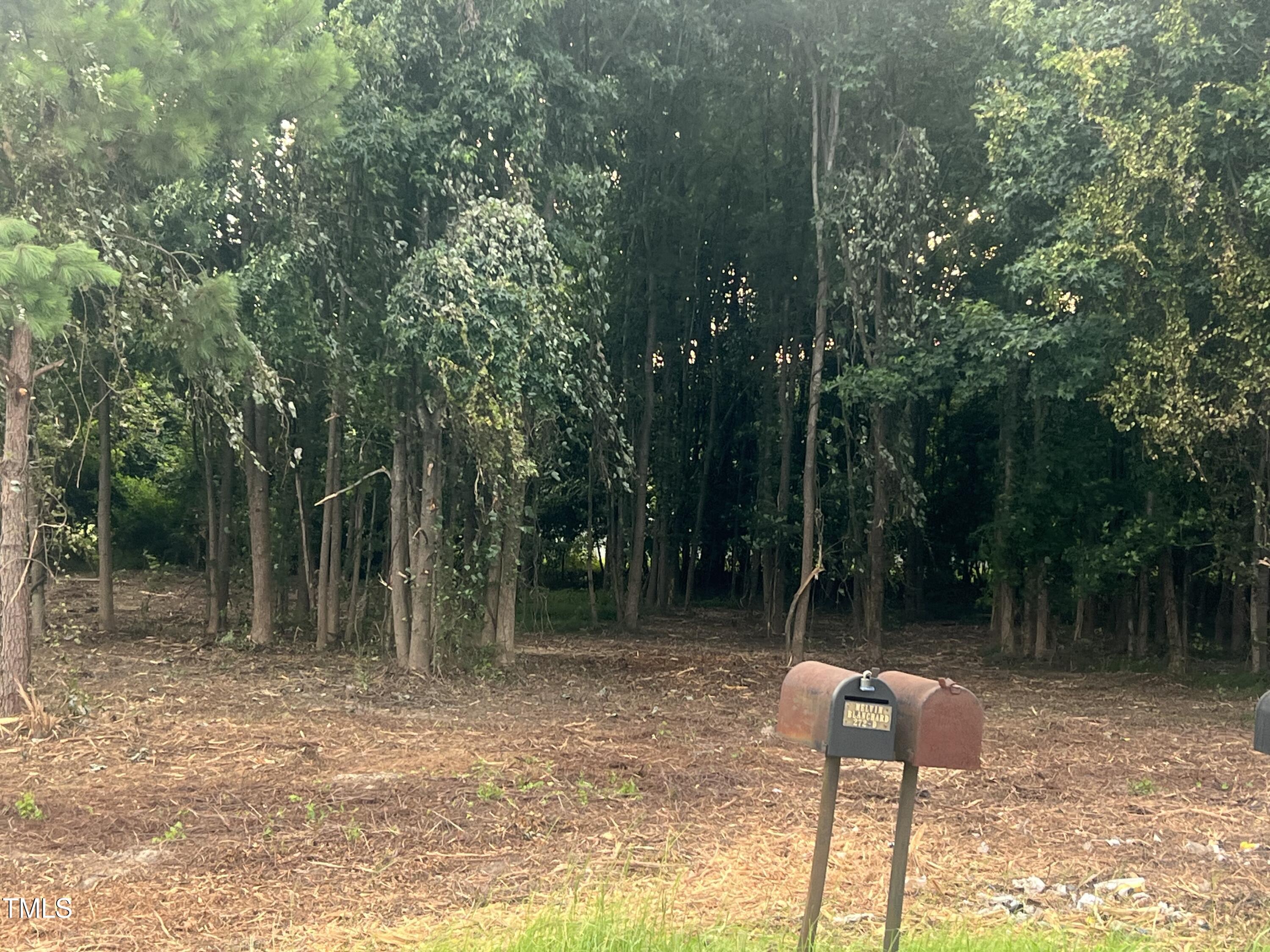 175 White Memorial Road Angier, NC 27501 - Photo 7 of 12 a backyard of a house with lots of green space