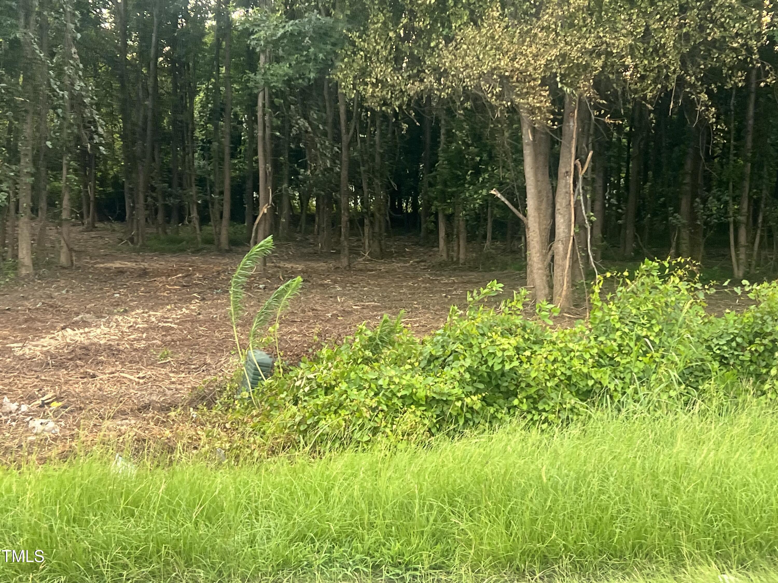 175 White Memorial Road Angier, NC 27501 - Photo 8 of 12 a backyard of a house with lots of green space