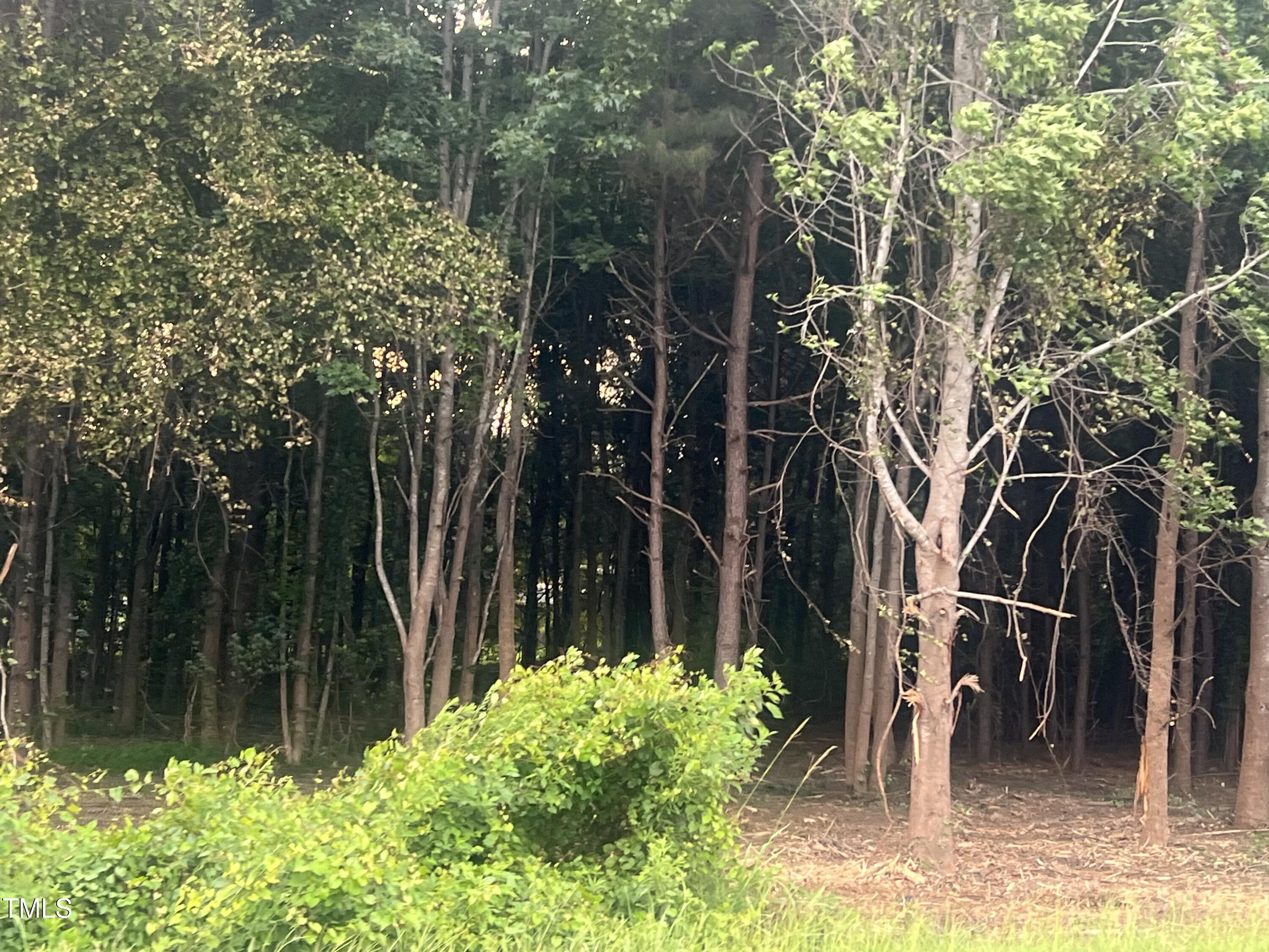 175 White Memorial Road Angier, NC 27501 - Photo 9 of 12 a backyard of a house with lots of green space
