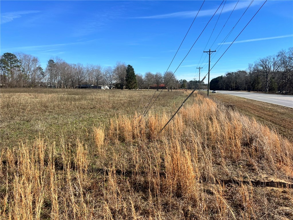 9901 Augusta Road Pelzer, SC 29669 - Photo 4 of 13