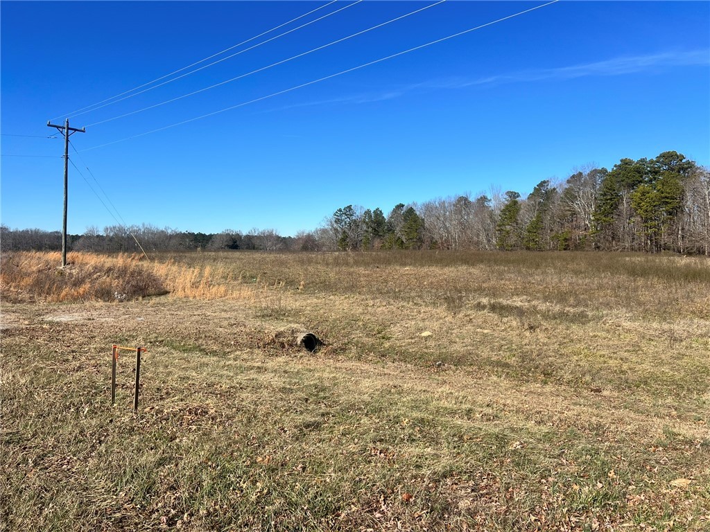 9901 Augusta Road Pelzer, SC 29669 - Photo 5 of 13