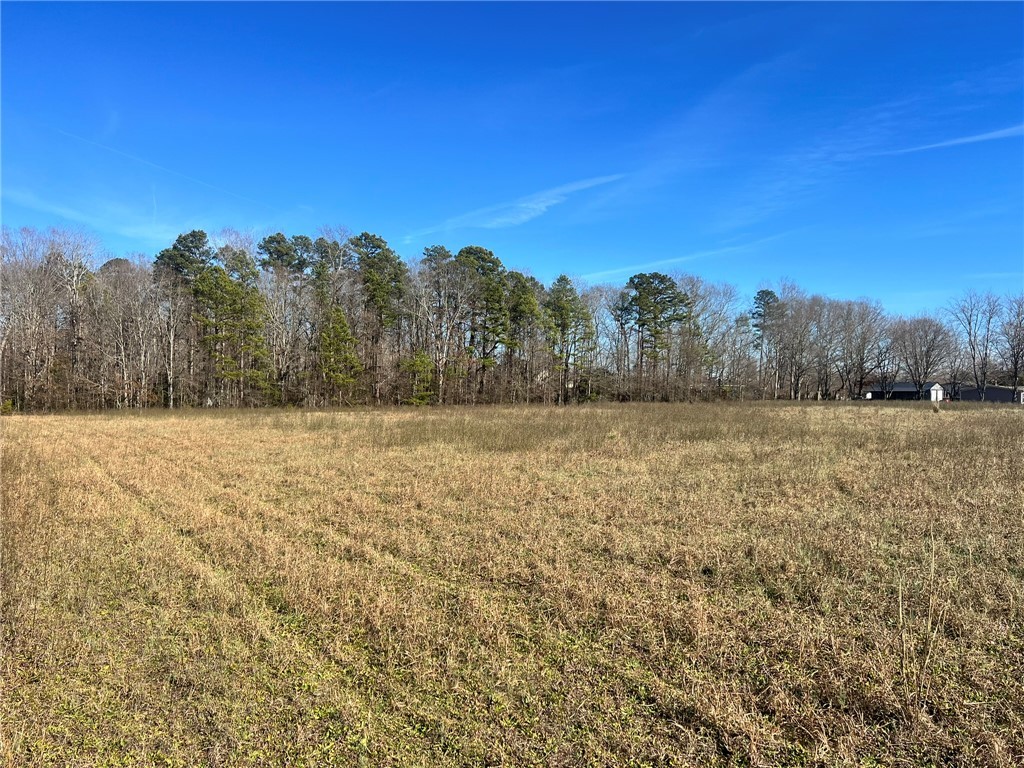 9901 Augusta Road Pelzer, SC 29669 - Photo 8 of 13