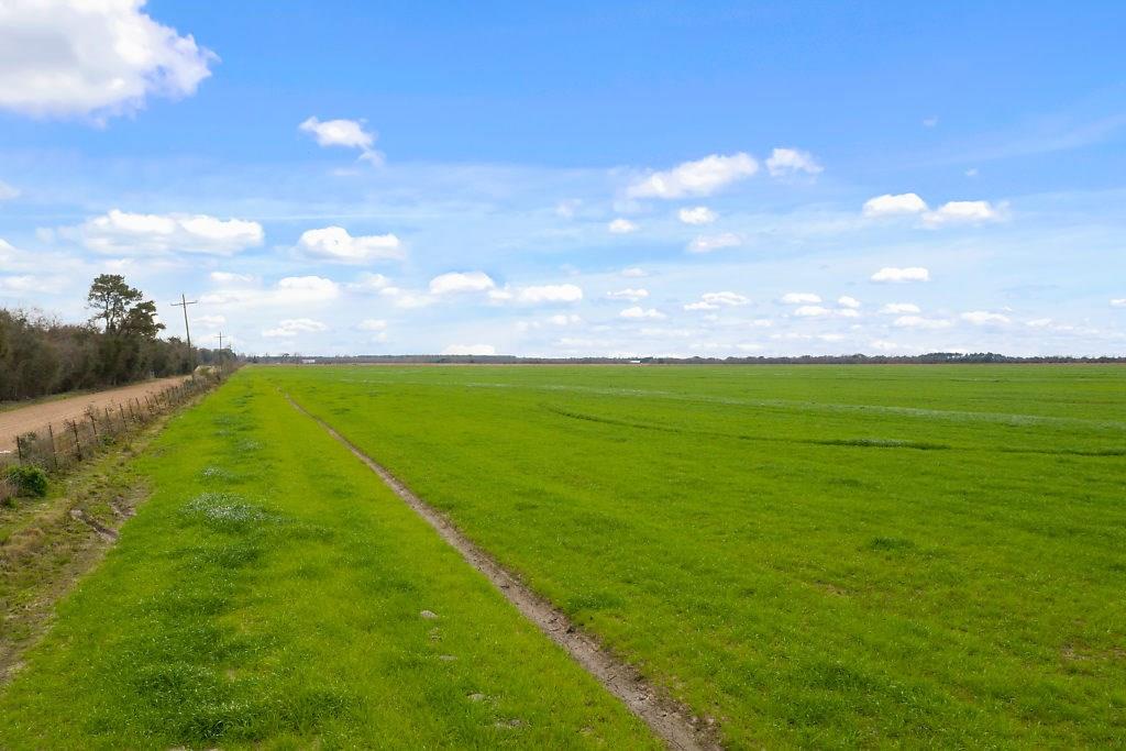 20 Gro Racca Road Iowa, LA 70647 - Photo 3 of 7