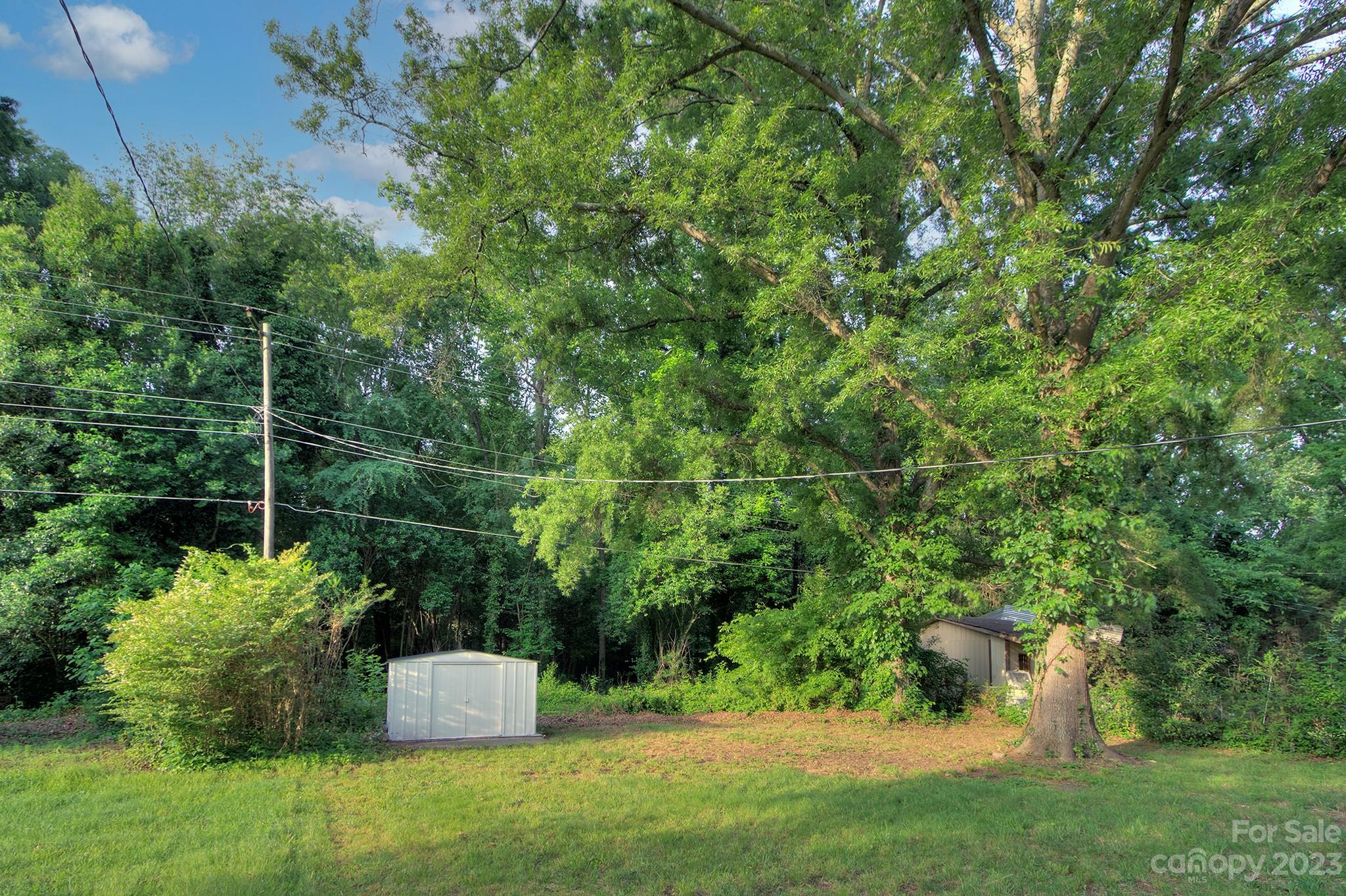 2954 Enfield Road Charlotte, NC 28205 - Photo 24 of 27 a garden view