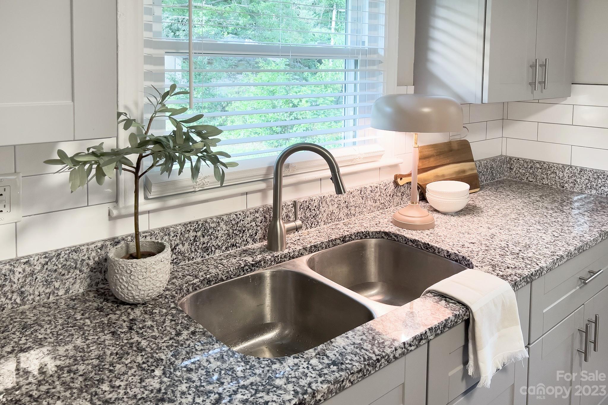 2954 Enfield Road Charlotte, NC 28205 - Photo 10 of 27 a kitchen with a granite countertop sink and a potted plant