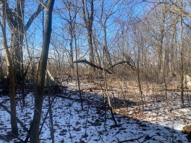 29657 Edison Road New Carlisle, IN 46552 - Photo 5 of 17
