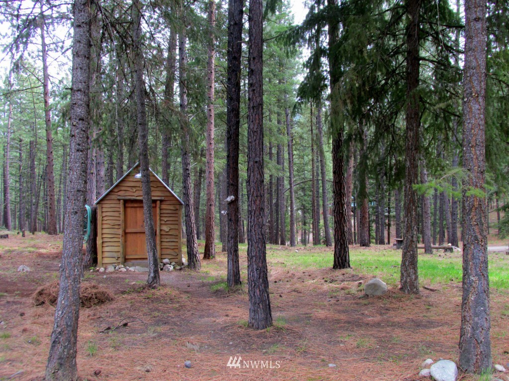 20 Sky Ranch Road Twisp, WA 98856 - Photo 24 of 25 Gallery Image 24