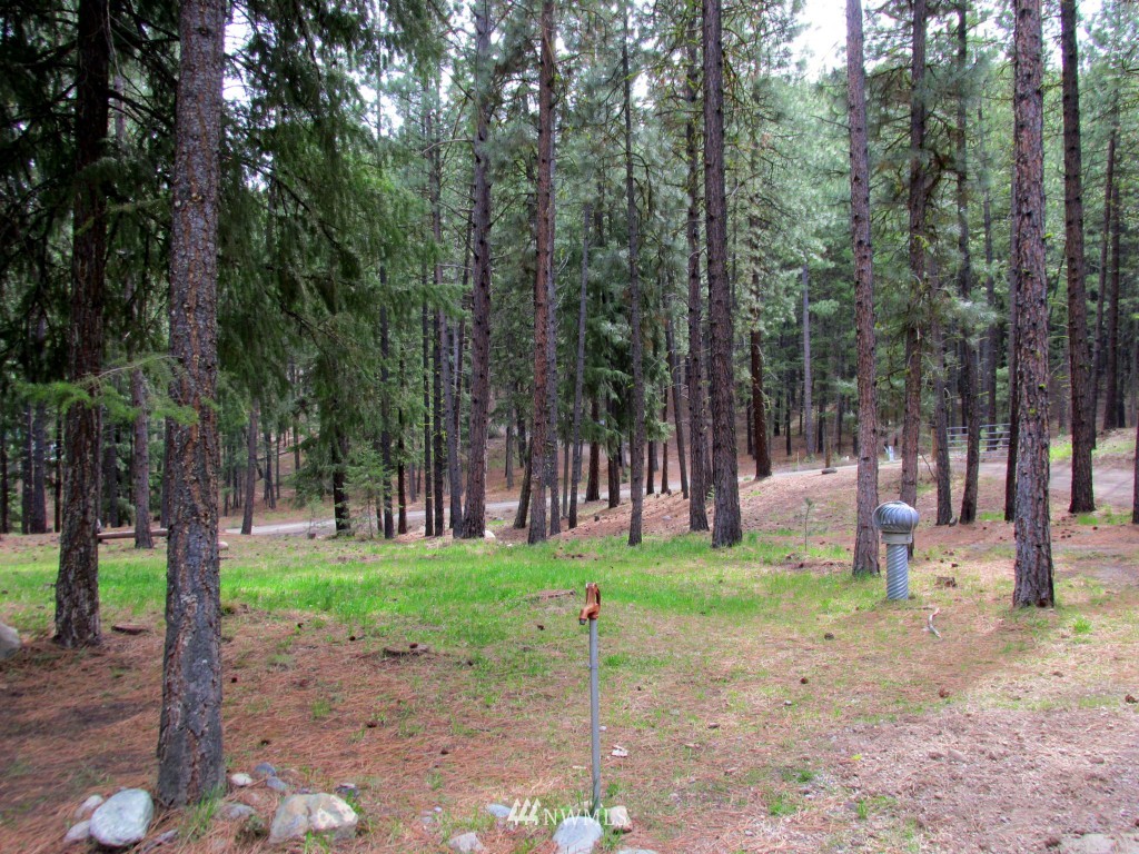 20 Sky Ranch Road Twisp, WA 98856 - Photo 25 of 25 Gallery Image 25