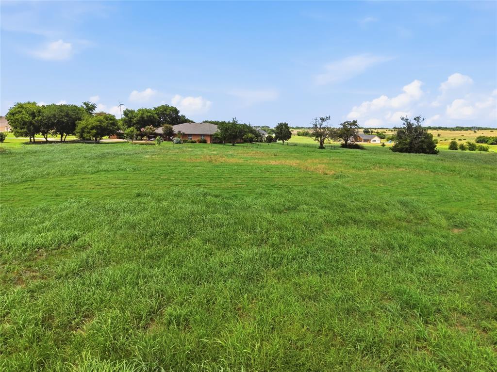 6424 Wind Hills Road Godley, TX 76044 - Photo 4 of 10