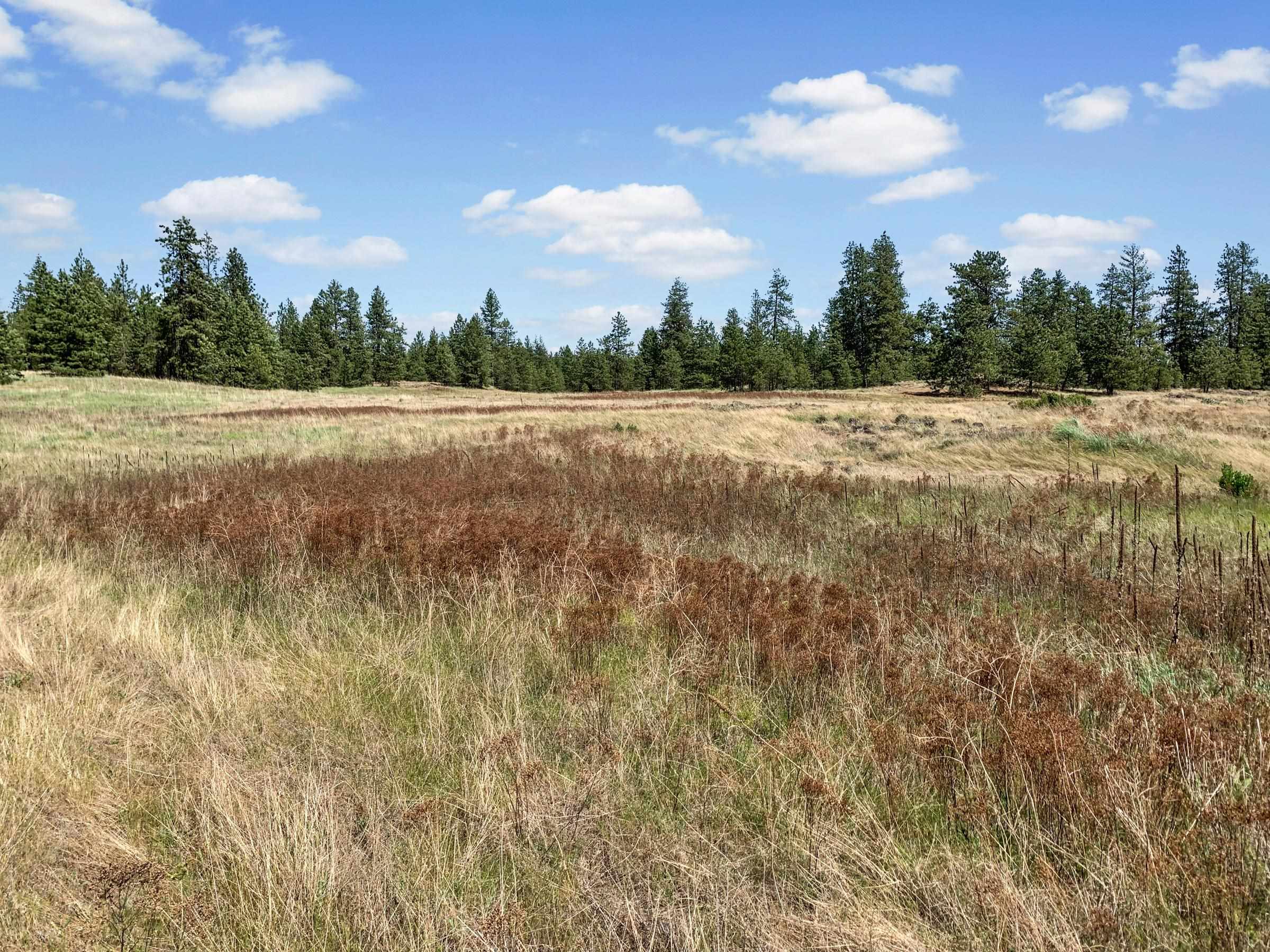 B North Ritchey Road Spokane, WA 99224 - Photo 11 of 28 Gallery Image 11