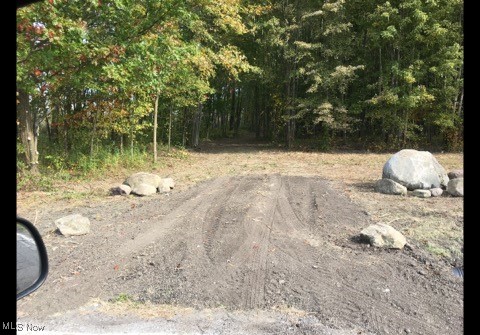 Bates Road Madison, OH 44057 - Photo 6 of 13 drive with rocks