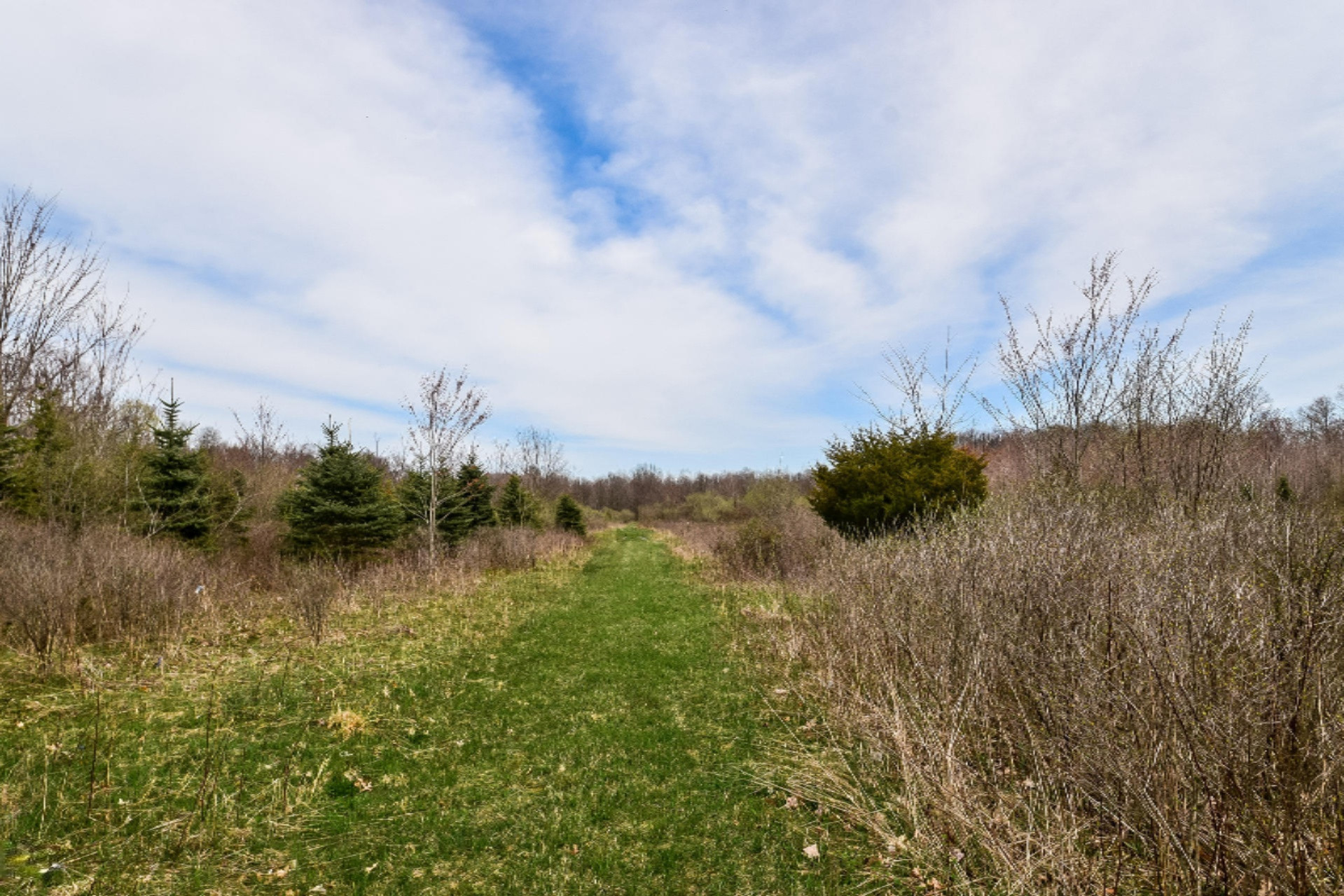 4950 Zahm Road Belding, MI 48809 - Photo 57 of 62 060-Exterior-4006057-medium