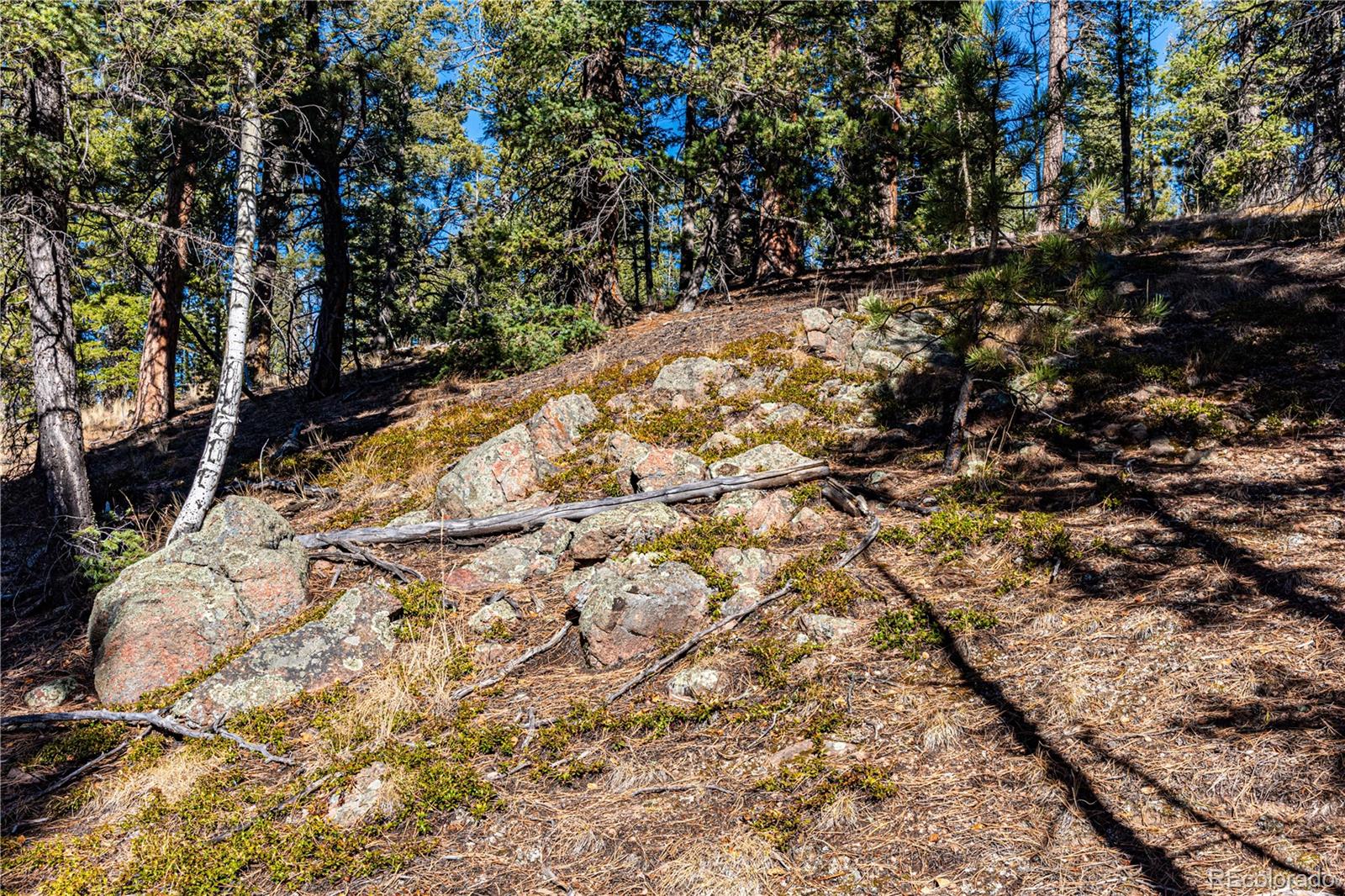 0 Arrowhead Road Florissant, CO 80816 - Photo 29 of 31 a view of mountain view with a tree