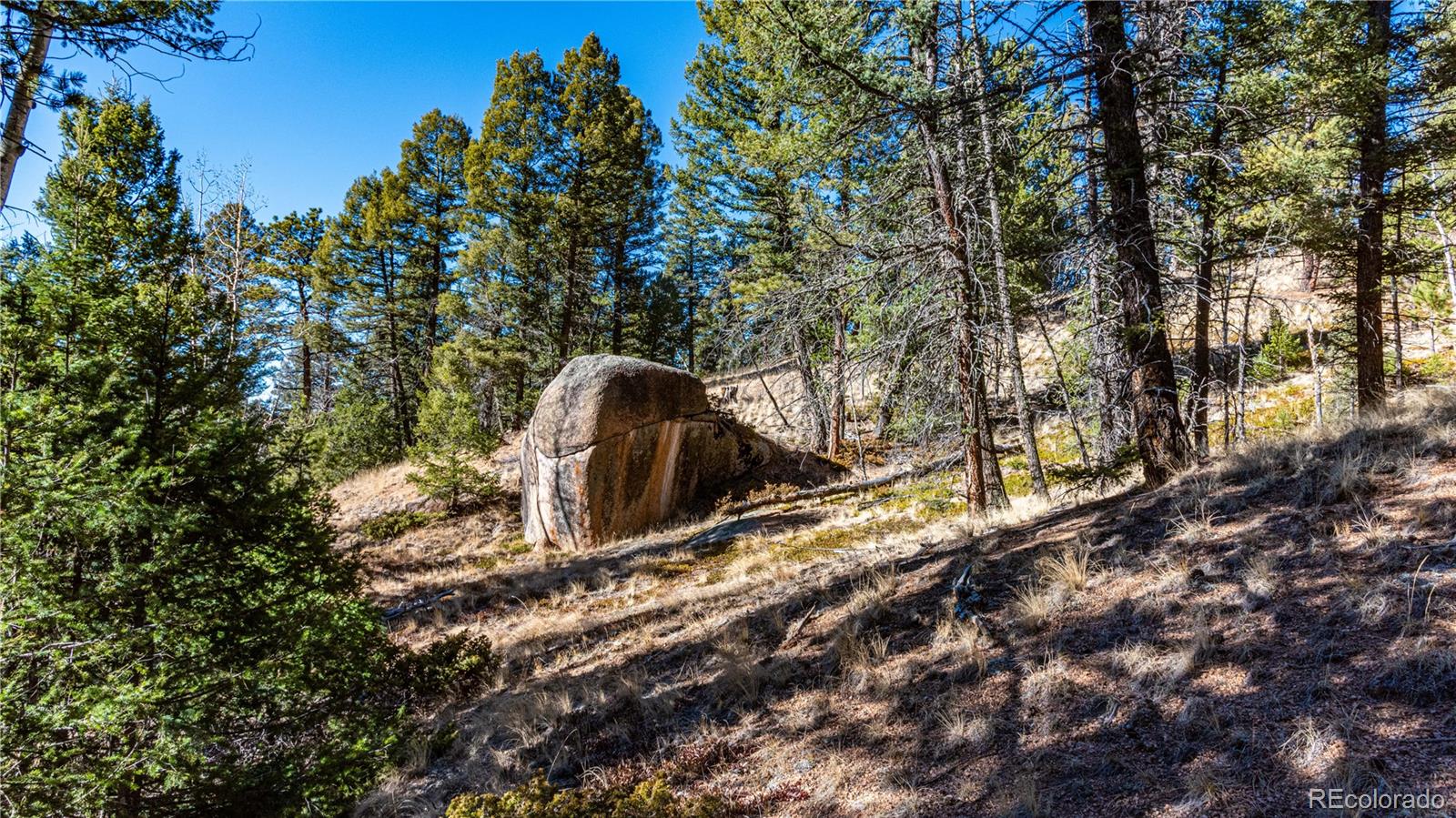 0 Arrowhead Road Florissant, CO 80816 - Photo 31 of 31 a backyard of a house with a yard and outdoor seating