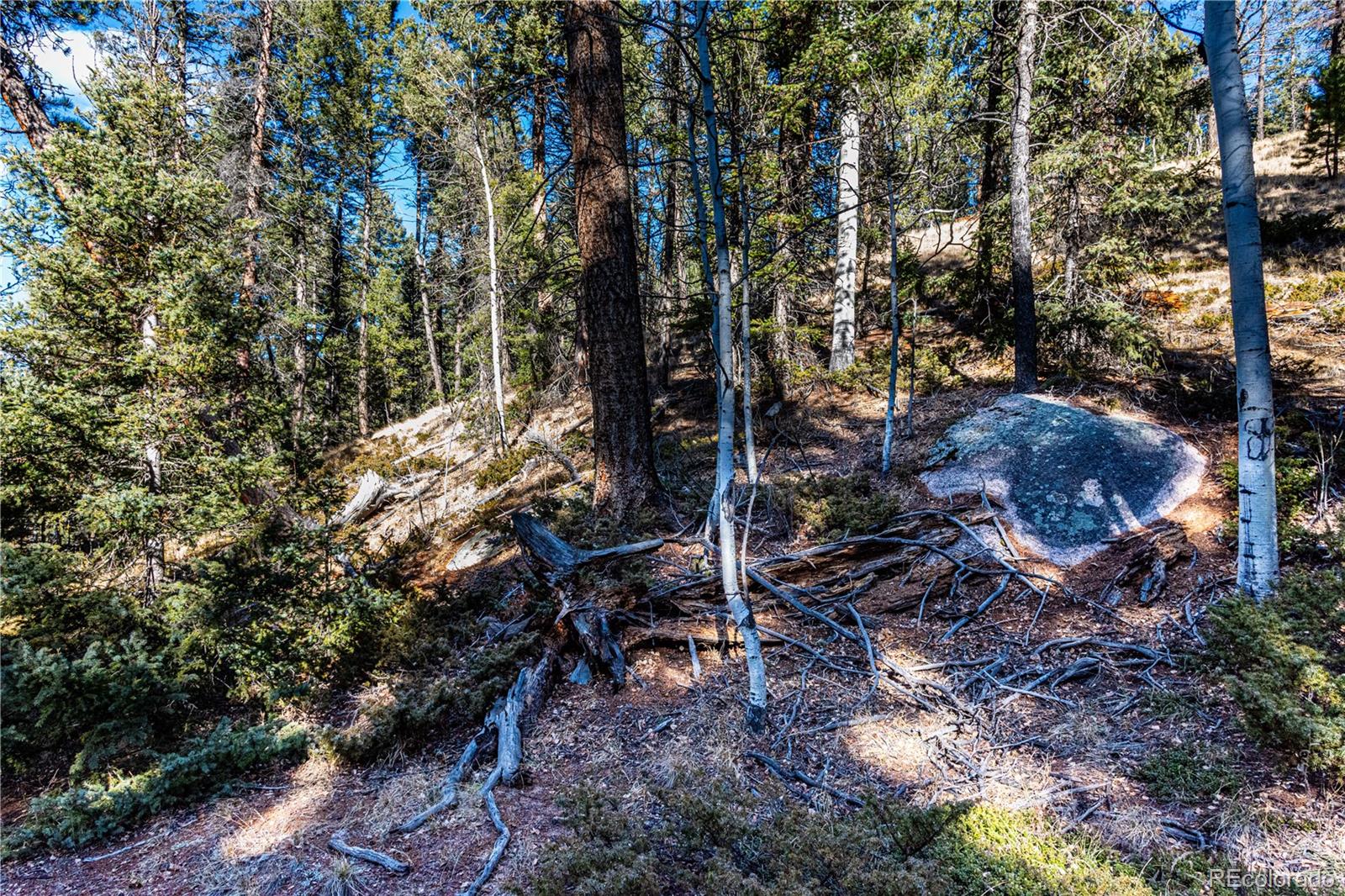 0 Arrowhead Road Florissant, CO 80816 - Photo 5 of 31 a backyard of a house with lots of green space