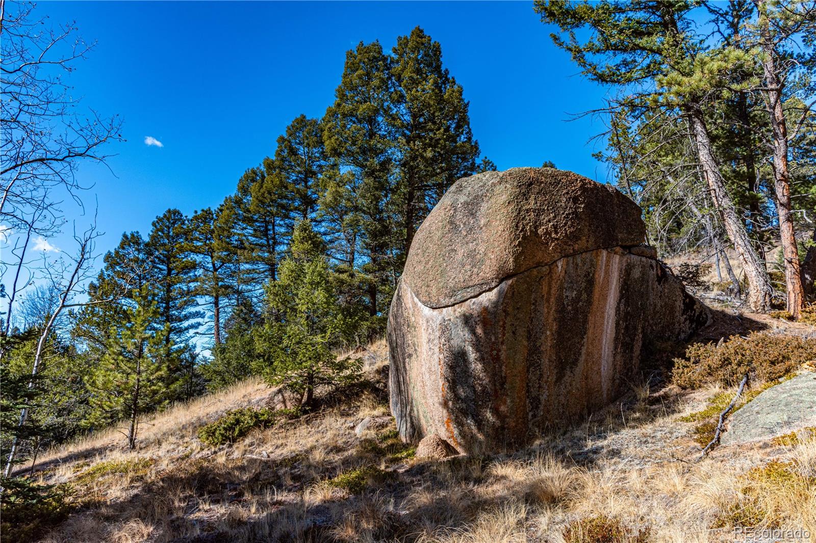 0 Arrowhead Road Florissant, CO 80816 - Photo 7 of 31 a view of a bird of a house
