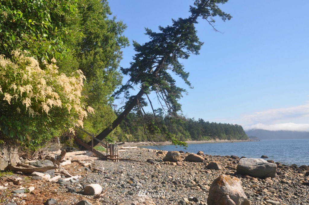 1267 Lopez Sound Road Lopez Island, WA 98261 - Photo 24 of 25