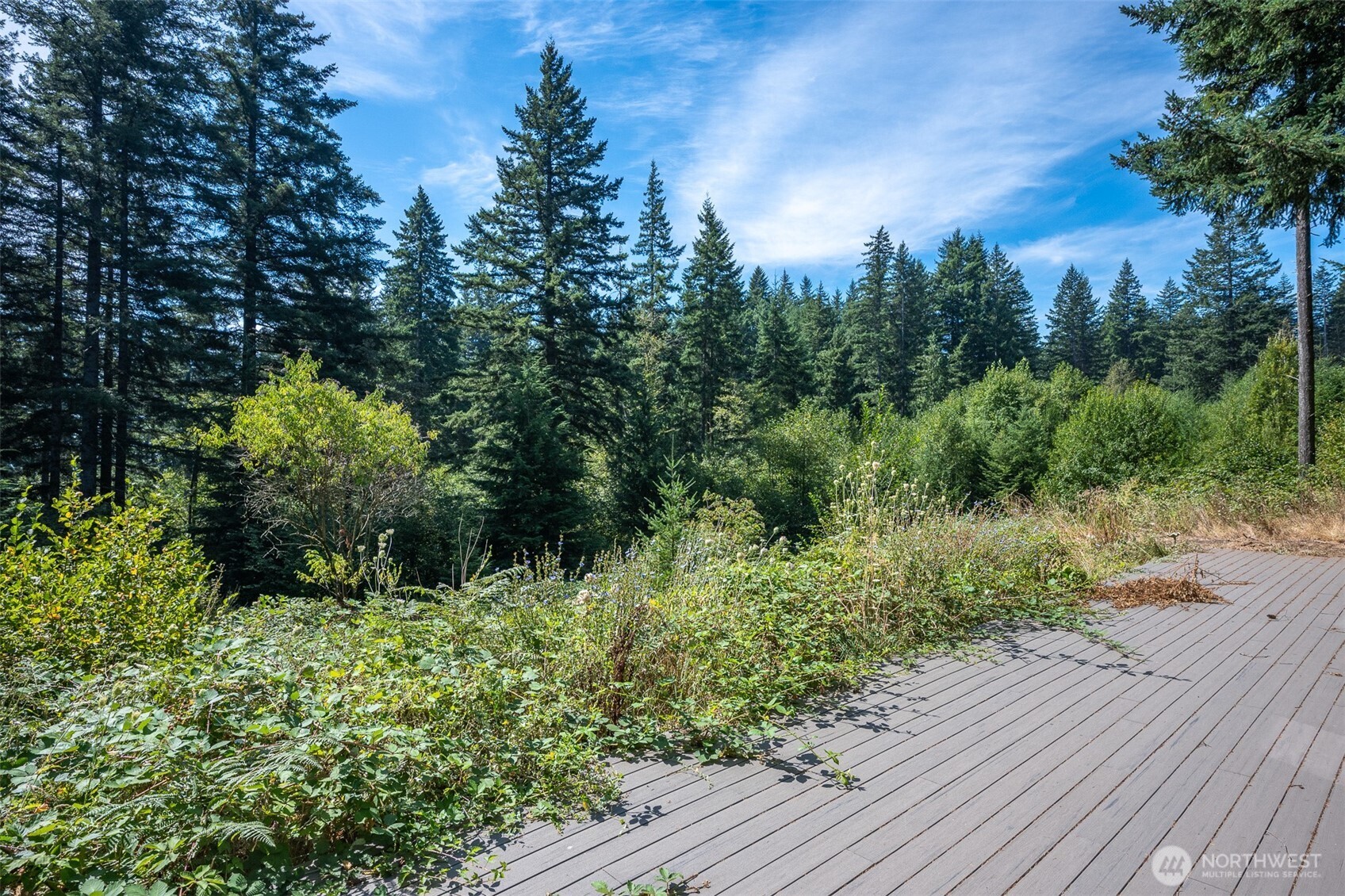 32717 Northeast 94th Street Camas, WA 98607 - Photo 18 of 34 Gallery Image 18