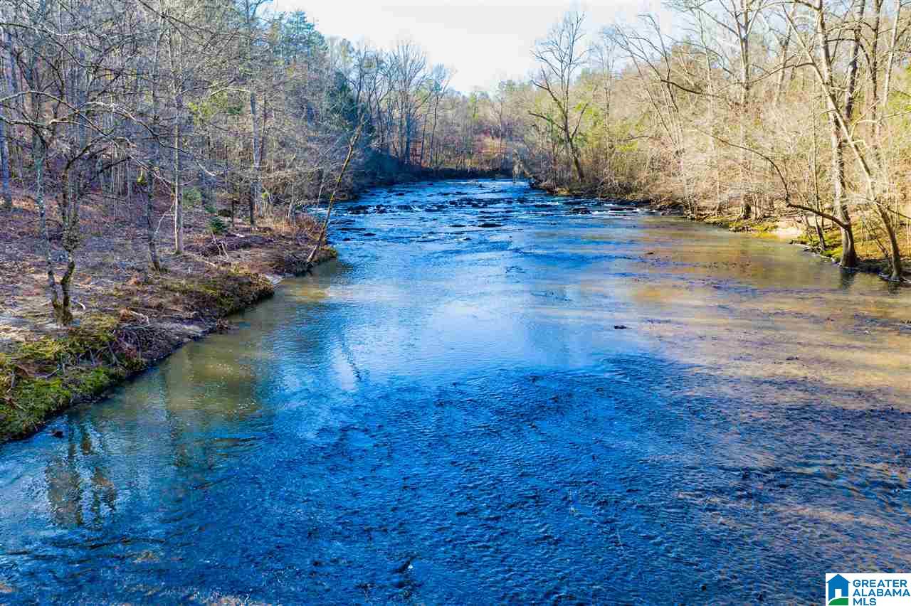 0 County Road 8, Unit 1 Clanton, AL 35045 - Photo 26 of 30