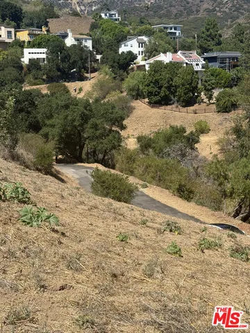 a view of a yard with plants