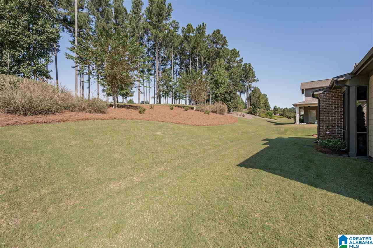 313 Kilkerran Lane Pelham, AL 35124 - Photo 42 of 44