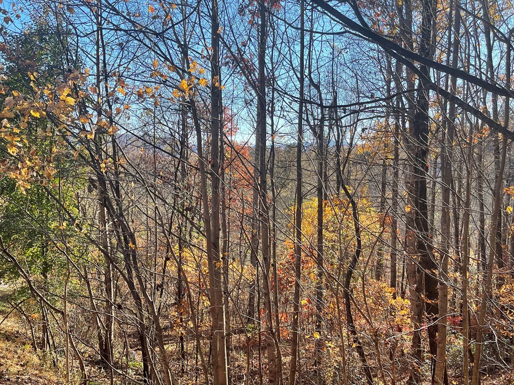 39-m 40m Ridges Hayesville, NC 28904 - Photo 3 of 7