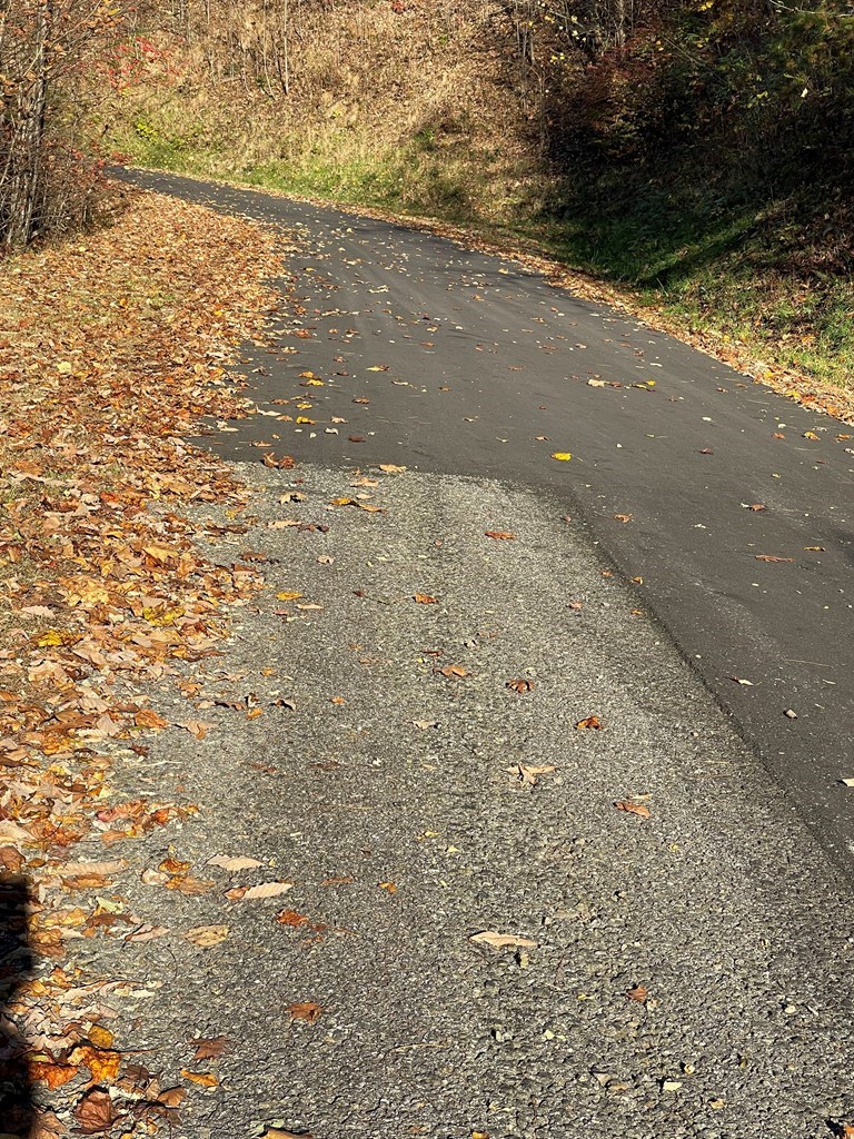 39-m 40m Ridges Hayesville, NC 28904 - Photo 6 of 7