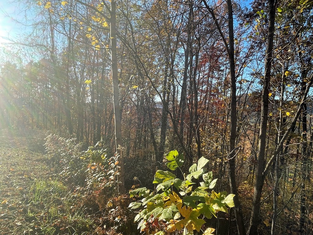 39-m 40m Ridges Hayesville, NC 28904 - Photo 7 of 7