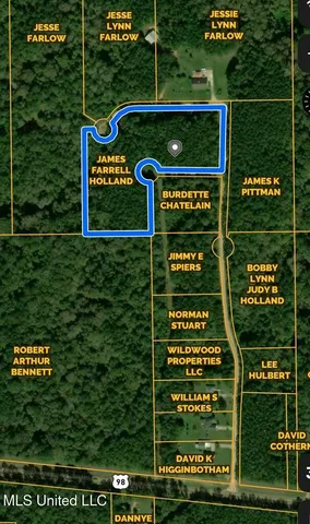 $49,000 | Maypop Lane, Meadville, MS 39653