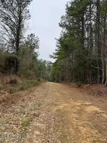 $49,000 | Maypop Lane, Meadville, MS 39653