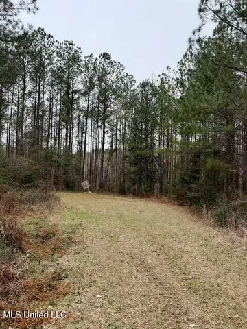 $49,000 | Maypop Lane, Meadville, MS 39653