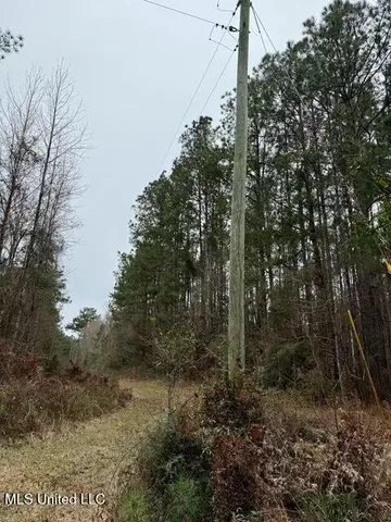 $49,000 | Maypop Lane, Meadville, MS 39653