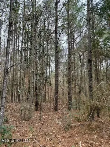 $49,000 | Maypop Lane, Meadville, MS 39653