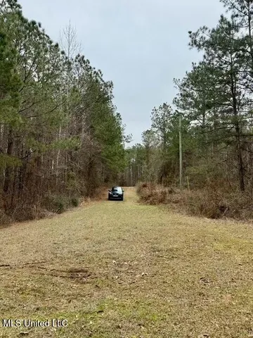 $49,000 | Maypop Lane, Meadville, MS 39653