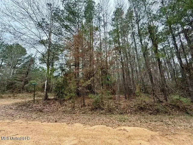 $49,000 | Maypop Lane, Meadville, MS 39653