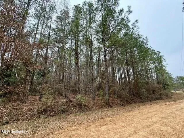 $49,000 | Maypop Lane, Meadville, MS 39653